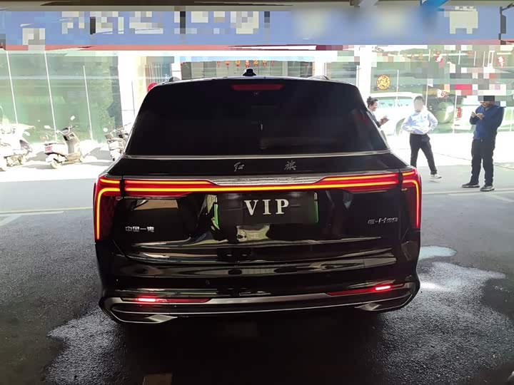 Фото 6 - Hongqi E-HS9