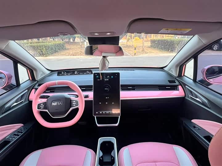 Фото 7 - Hozon V