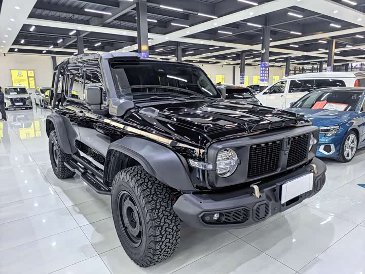 Фото 2 - Tank 300