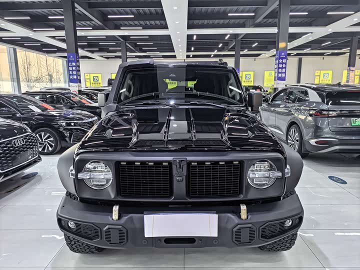 Фото 3 - Tank 300