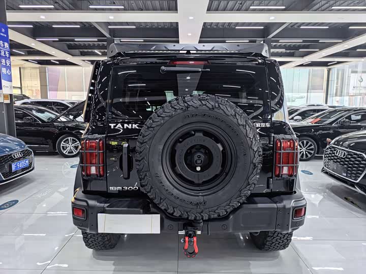 Фото 4 - Tank 300