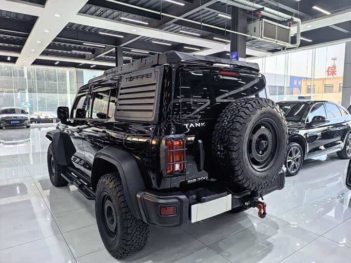 Фото 5 - Tank 300