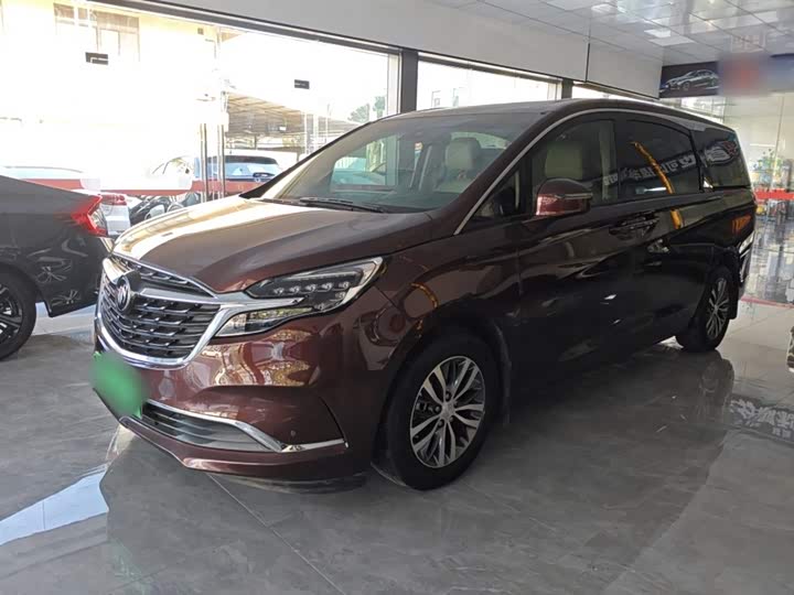 Фото 1 - Buick GL8 ES