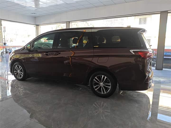 Фото 5 - Buick GL8 ES