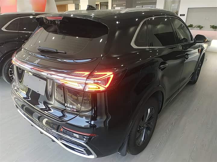 Фото 7 - Hongqi HS5