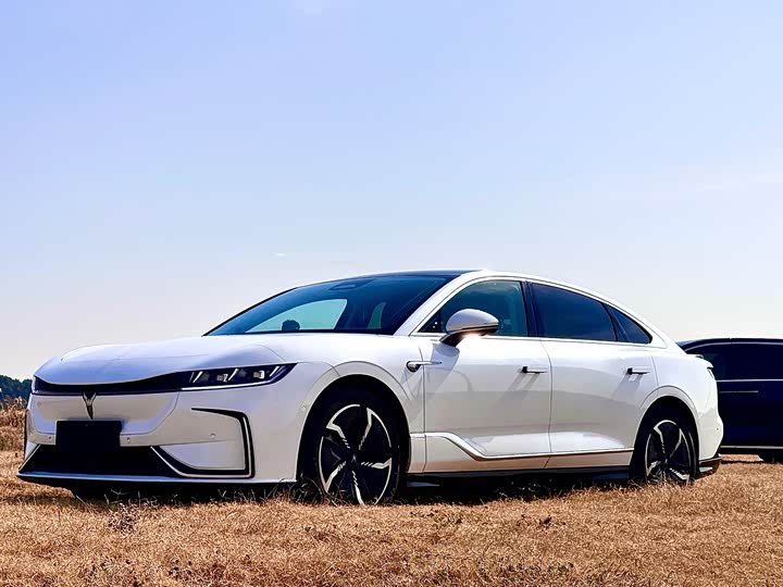 Фото 1 - Voyah Passion