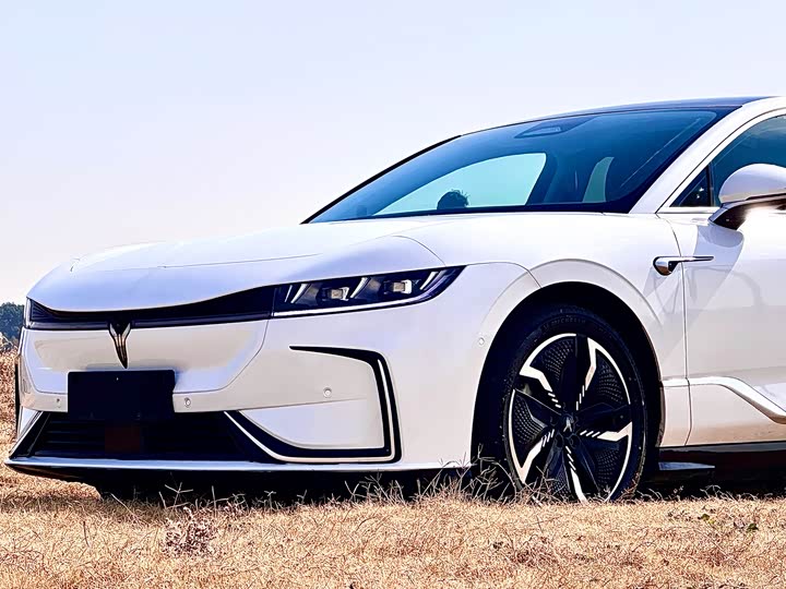 Фото 2 - Voyah Passion