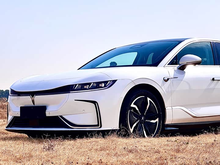 Фото 3 - Voyah Passion