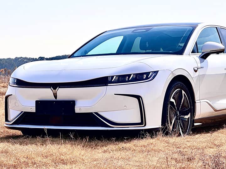 Фото 4 - Voyah Passion