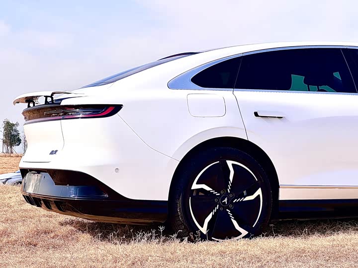 Фото 5 - Voyah Passion