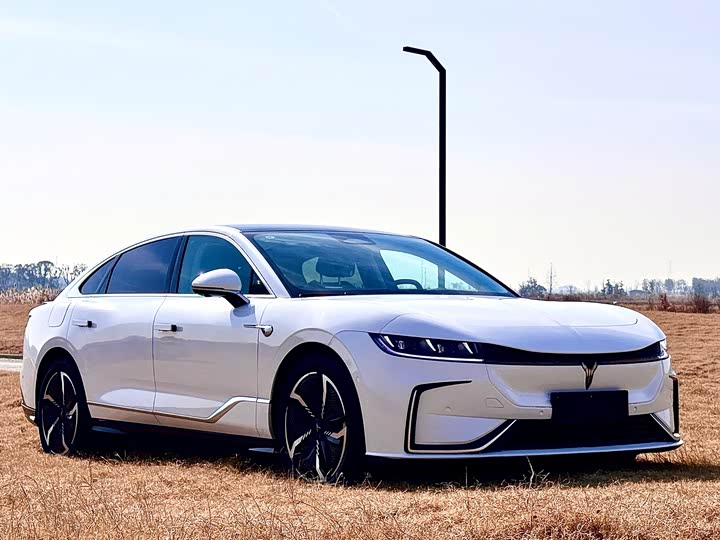 Фото 7 - Voyah Passion