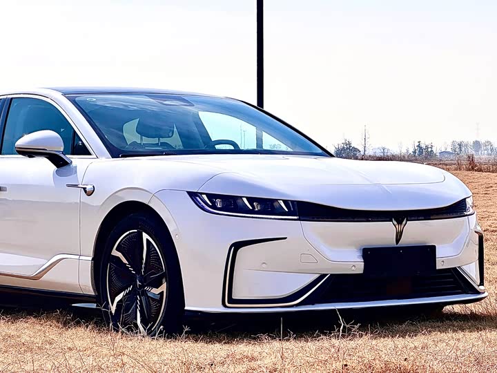 Фото 8 - Voyah Passion