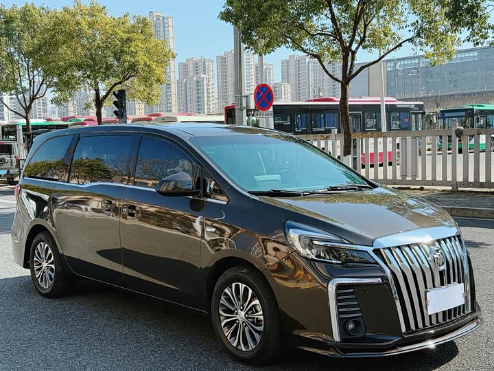 Фото 3 - Buick GL8 ES