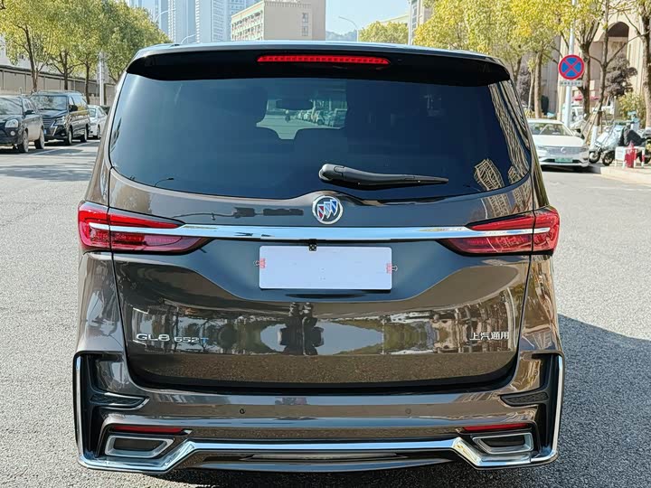 Фото 6 - Buick GL8 ES