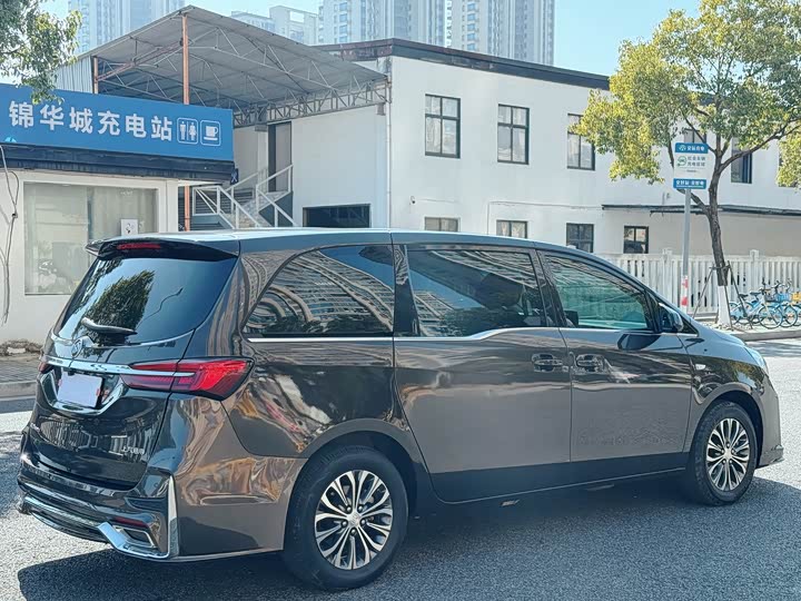 Фото 7 - Buick GL8 ES