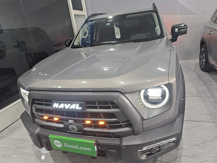 Фото 3 - Haval Dargo