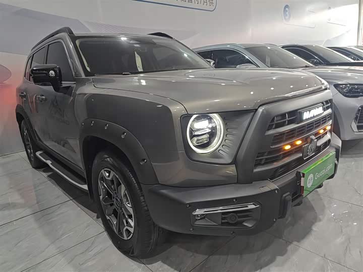 Фото 4 - Haval Dargo