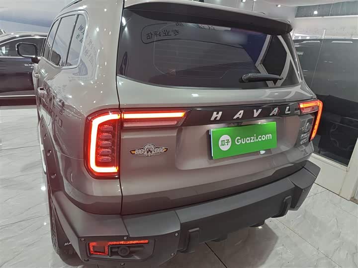 Фото 6 - Haval Dargo