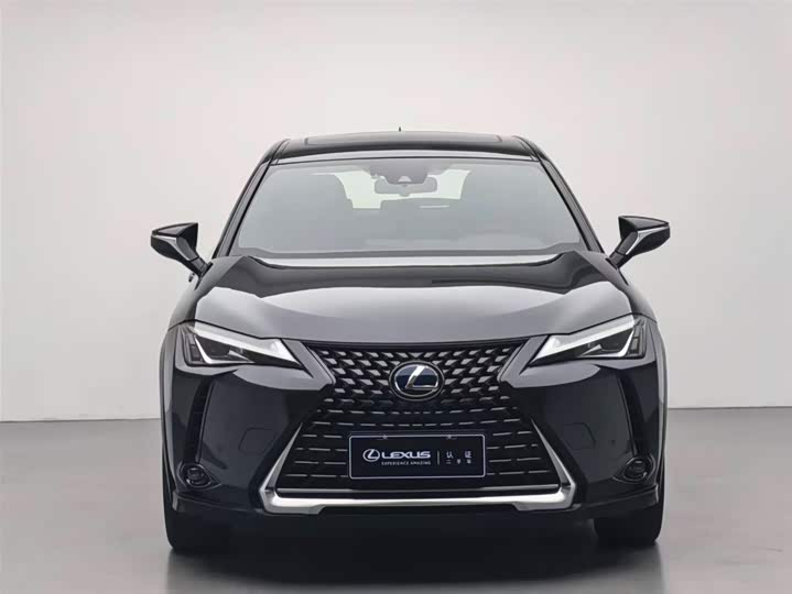 Фото 2 - Lexus UX