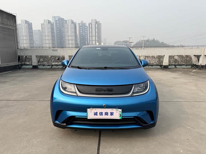 Фото 2 - BYD Dolphin