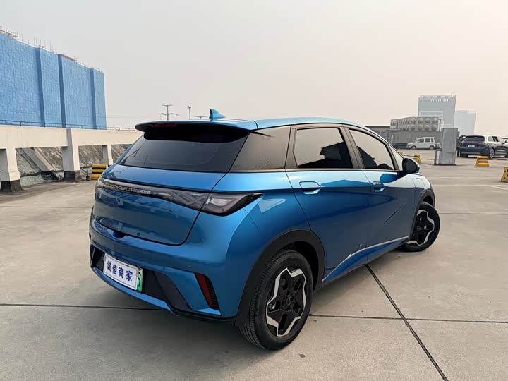 Фото 6 - BYD Dolphin