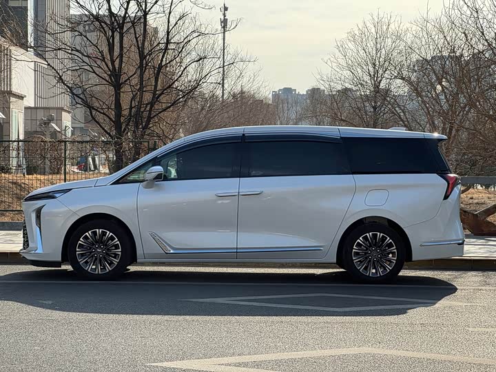 Фото 5 - Buick GL8 ES