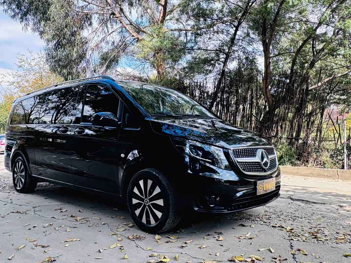 Фото 3 - Mercedes-Benz Vito