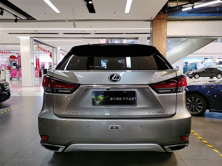 Фото 4 - Lexus RX