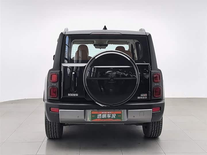 Фото 4 - Haval Raptor Hybrid