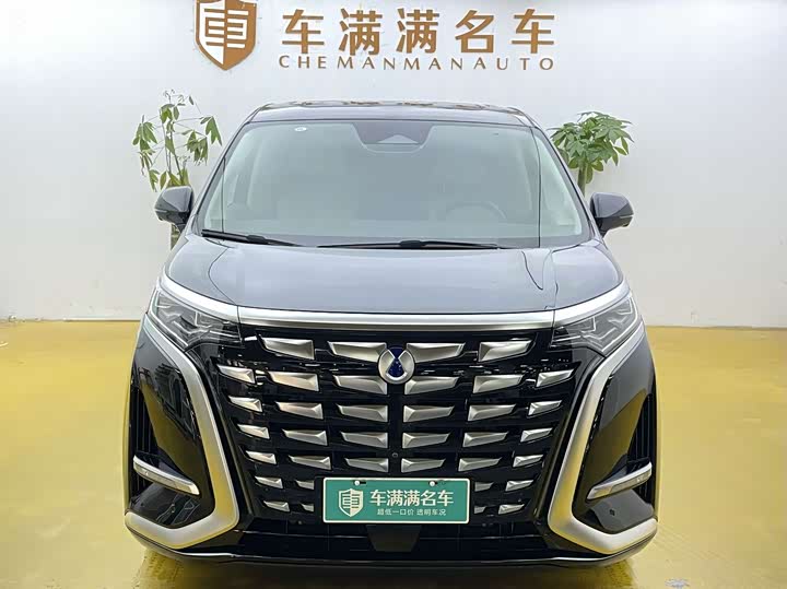 Фото 2 - Denza D9