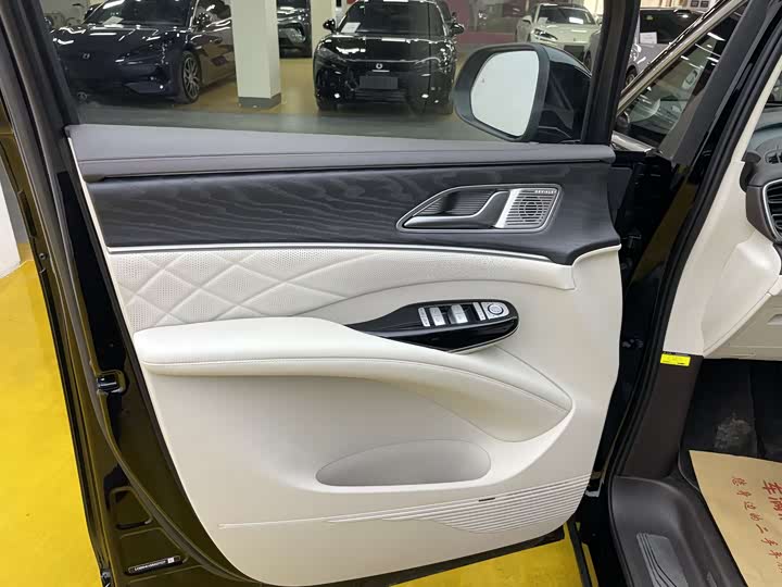 Фото 3 - Denza D9