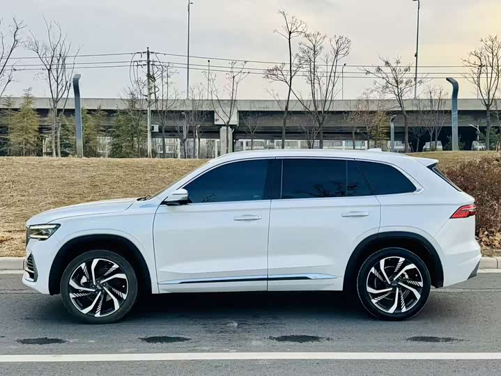 Фото 3 - Geely Monjaro