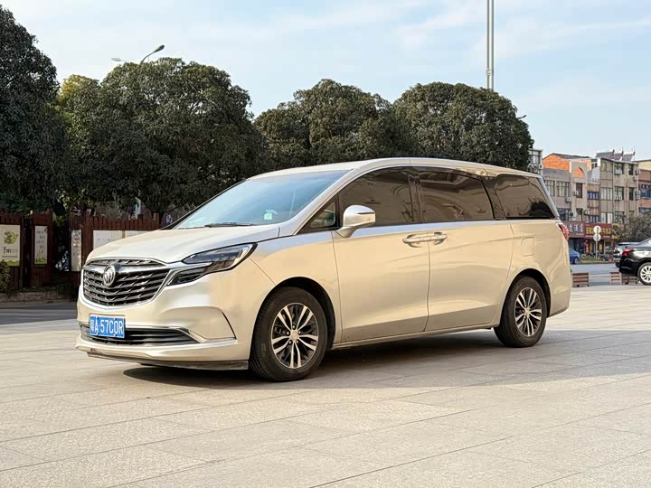 Фото 1 - Buick GL8 ES