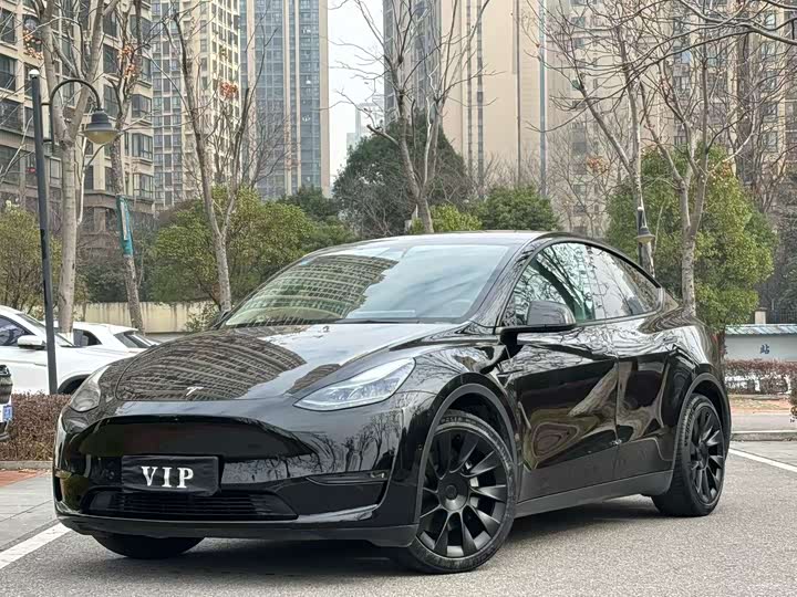 Фото 1 - Tesla Model Y