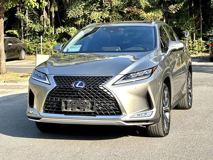 Фото 1 - Lexus RX