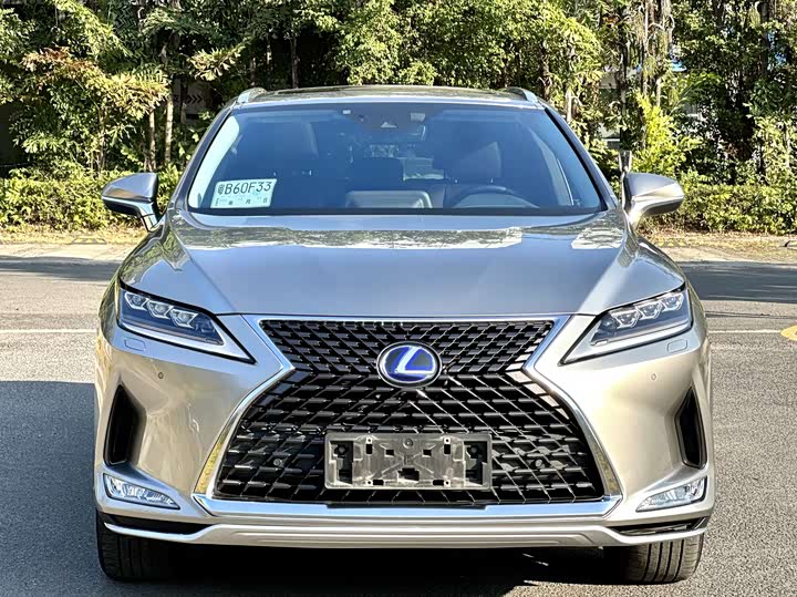 Фото 3 - Lexus RX