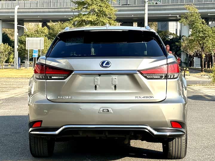 Фото 4 - Lexus RX