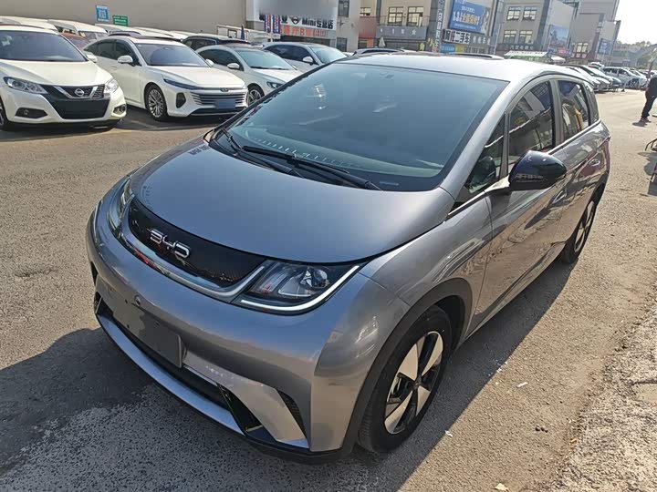 Фото 2 - BYD Dolphin