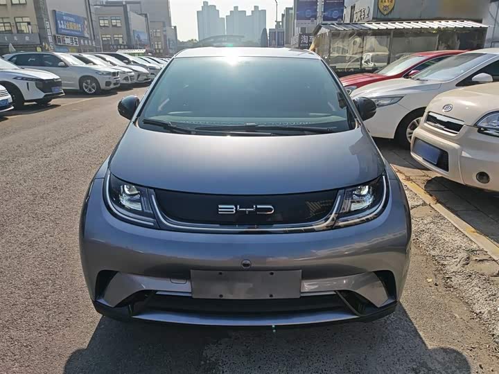 Фото 3 - BYD Dolphin