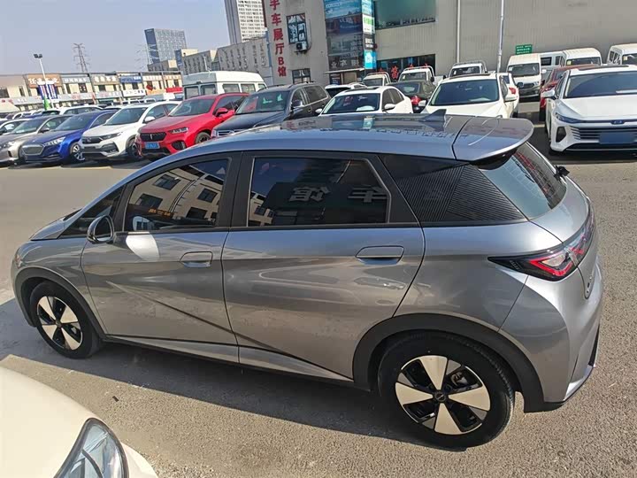 Фото 5 - BYD Dolphin