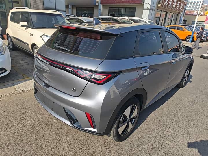 Фото 7 - BYD Dolphin