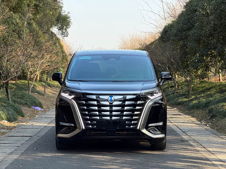 Фото 2 - Denza D9