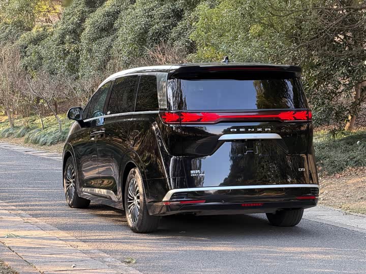 Фото 3 - Denza D9