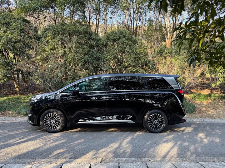 Фото 4 - Denza D9