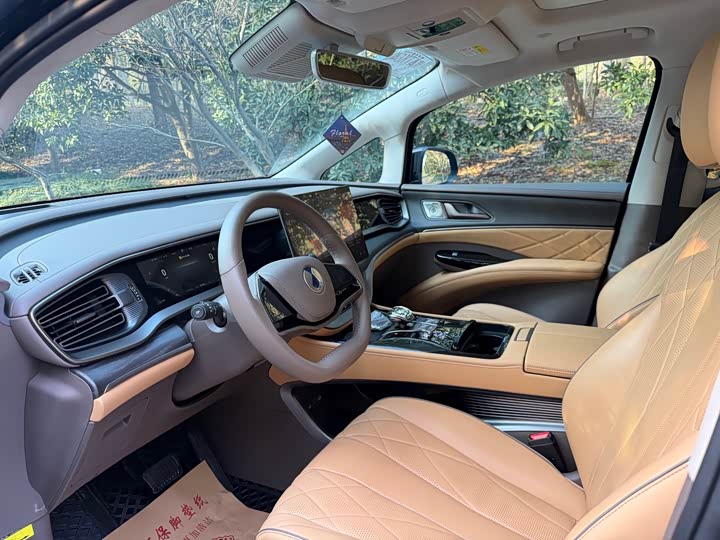 Фото 6 - Denza D9