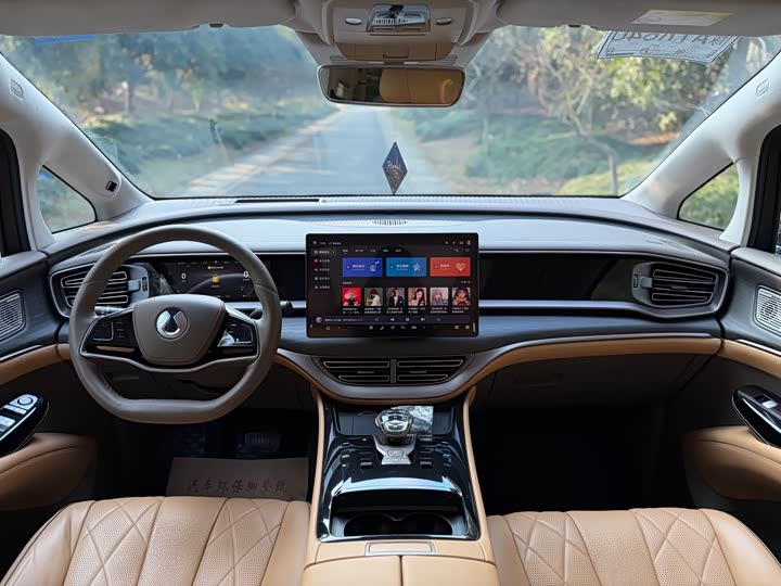 Фото 7 - Denza D9