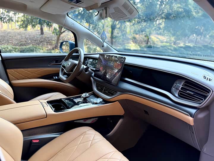 Фото 8 - Denza D9