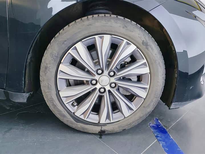 Фото 6 - Hongqi E-QM5