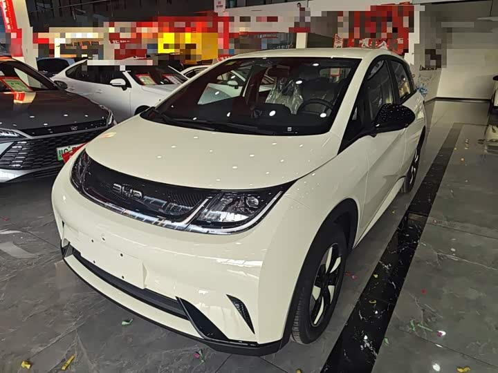 Фото 2 - BYD Dolphin