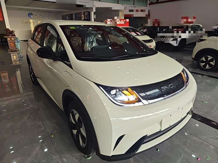 Фото 4 - BYD Dolphin